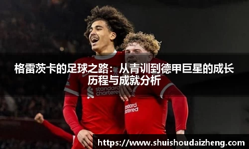 格雷茨卡的足球之路：从青训到德甲巨星的成长历程与成就分析